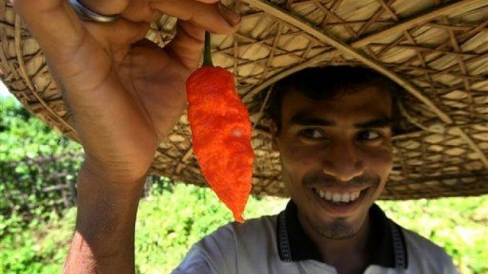 Ghost pepper sends man to hospital for 23 days 
